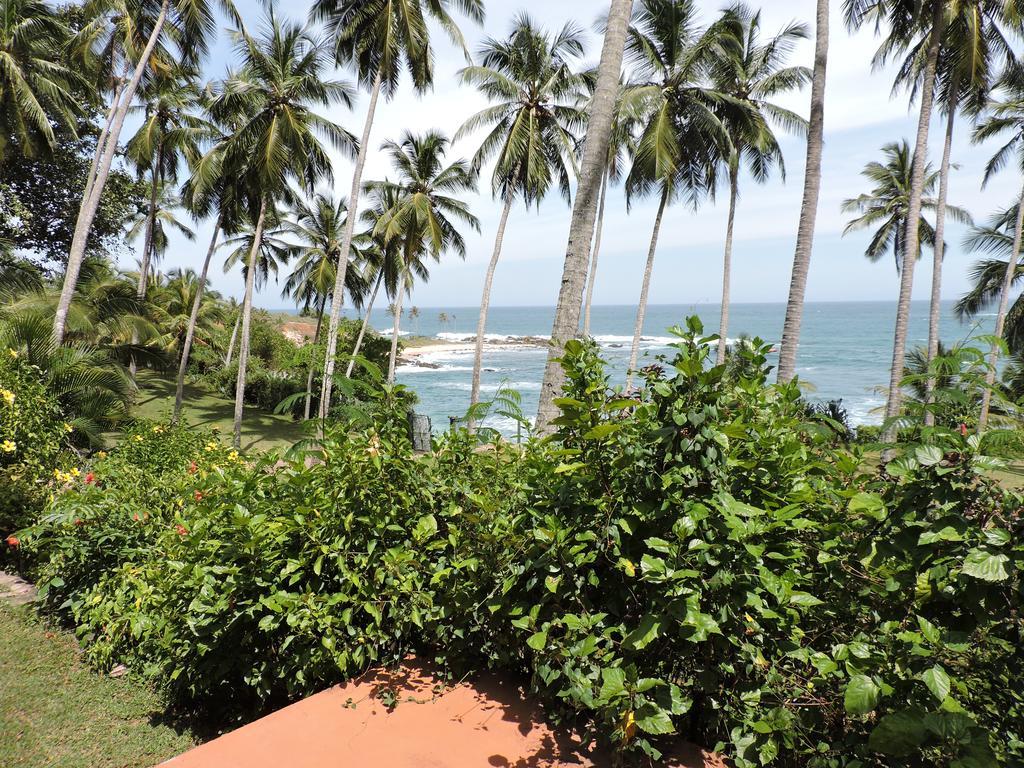 Eva Lanka Hotel - Beach & Wellness Тангалла Экстерьер фото
